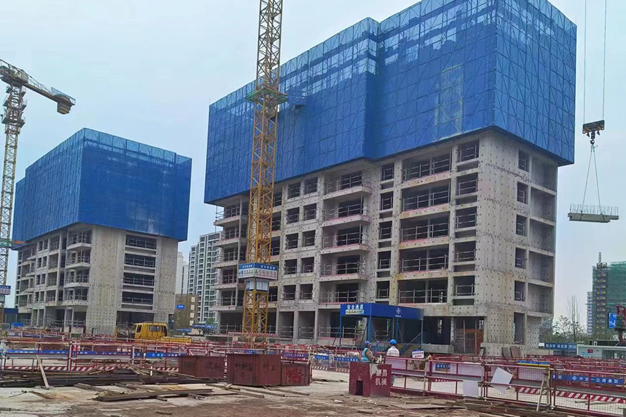 Integrated Attached Lifting Scaffold Case